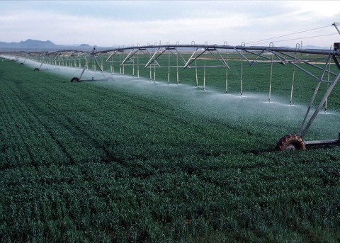 Centre-pivot irrigation system operating across a field